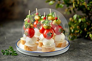 Canapes of mozzarella, green olives, cherry tomatoes, parsley on croutons of white bread.