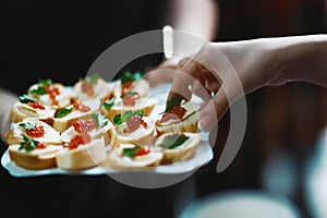 Canapes, sandwiches with caviar salmon on square crackers on a white plate, extending a hand to taste