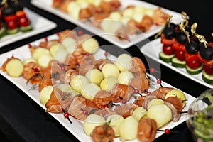 CanapÃ© snacks on the table. Offsite catering at the event. Close-up