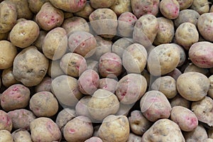 Canarian wrinkly potatoes - papas arrugadas