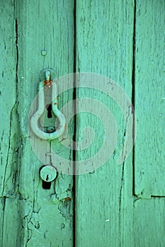 Canarias brown knocker in a green photo