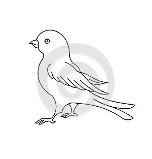 Canary bird. Editable outline stroke. Vector line illustration.