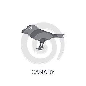 Canary icon. Trendy Canary logo concept on white background from