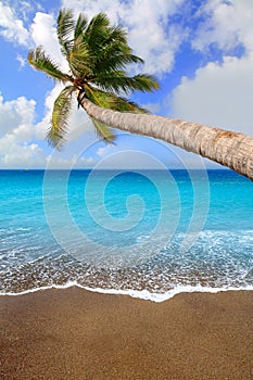 Canary Islands brown sand beach tropical aqua