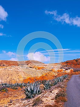 Canary islands. Fuerteventura countryside. Desert road and volcanoes. Travel concept stylish wallpaper