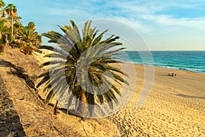 CANARY ISLANDS, Fuerteventura Island. Beach view in Morro Jable