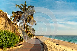 CANARY ISLANDS, Fuerteventura Island. Beach view in Morro Jable