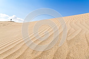 Canary islands, Maspalomas. Spain. Sand dunes.