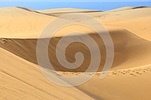 Canary Islands sand dunes