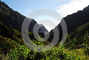 Canary Islands, Tenerife, The Masca gorge