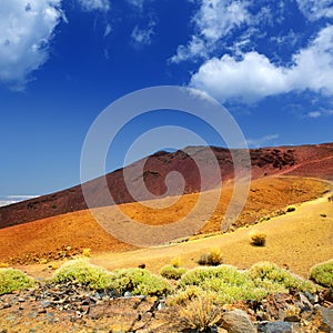 Canary islands in Tenerife Teide National Park photo