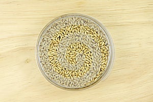 Canary seed in a glass bowl