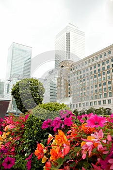 Canary Wharf