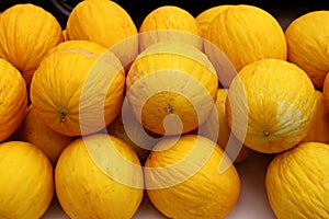 Canary Yellow Melon Indorus melo market stacked photo