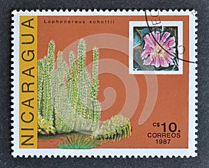 Cancelled postage stamp printed by Nicaragua, that shows Lophocereus schottii cactus