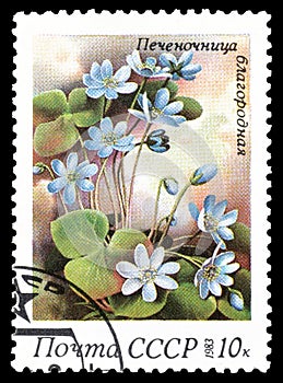 Flora on postage stamps