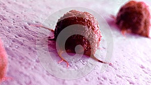 A cancer cell