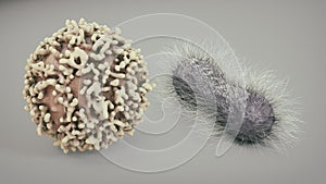 Cancer Cell and Rod-shaped bacteria - 3D Rendering