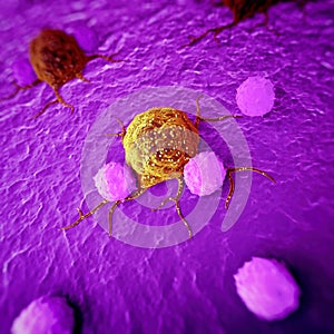 Cancer cells