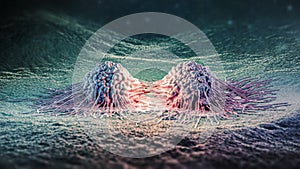 Cancer cells mitosis or proliferation 3D rendering illustration. Division of two malignant cells causing carcinoma close-up.