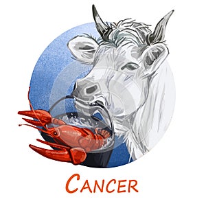 Cancer metal ox year horoscope zodiac sign isolated. Digital art illustration of chinese new year symbol, astrology
