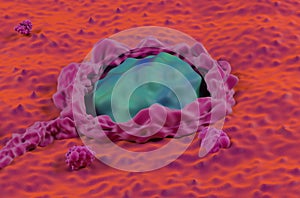 Cancerous colon surface super macro colorectal cancer closeup view 3d illustration
