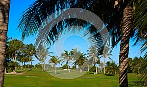 Cancun Mexico Kukulcan blvd golf course