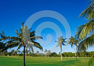 Cancun Mexico Kukulcan blvd golf course