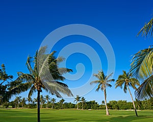 Cancun Mexico Kukulcan blvd golf course