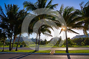 Cancun Mexico Kukulcan blvd Mexico