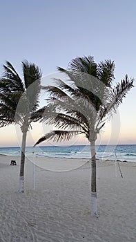 Cancun Night at La Isla Dorado Beach, Mexico