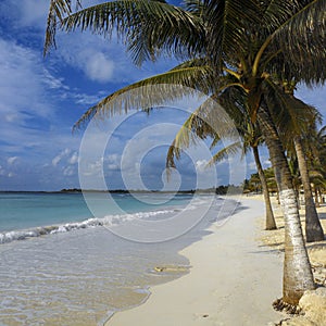 Cancun - Yucatan Peninsula - Mexico