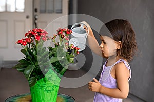 Candid portrait of little toddler girl watering red flowers infront of the house, childhood memories concept