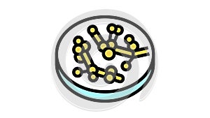 candida fungi albicans color icon animation