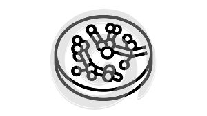 candida fungi albicans line icon animation