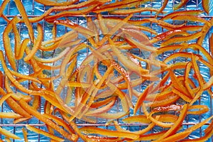 Candied orange peel on a wire rack