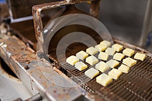 Candies processing by chocolate coating machine photo