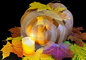 Candle burns before pumpkin with a maple leaf on a black background