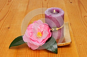 Candle and camellia