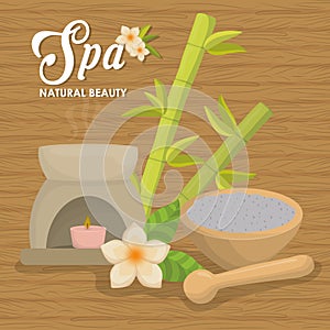 Candle and decoration. Spa center design. Vector graphic