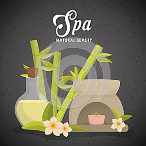 Candle and decoration. Spa center design. Vector graphic