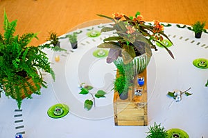 Candle decoration on the wood floow with flower fern and tree on white circle in the middle of woodfloor center inside the hall