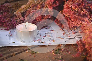 A Candle with Dried Celosia Flowers and Sheet Music in Sunlight