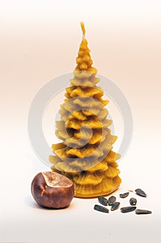 Candle in the form of a tree from beeswax