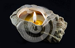 Candle inside the shell