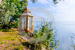 Candle lantern hanging on a tree branch