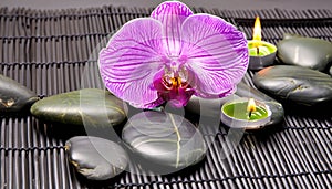 candle with orchids and lava stones