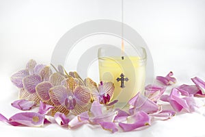 Candle, Orchids, and Rose Petals