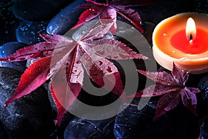 Candle with red Leaves