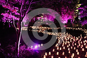 Candle River flowing through a Canberra Park